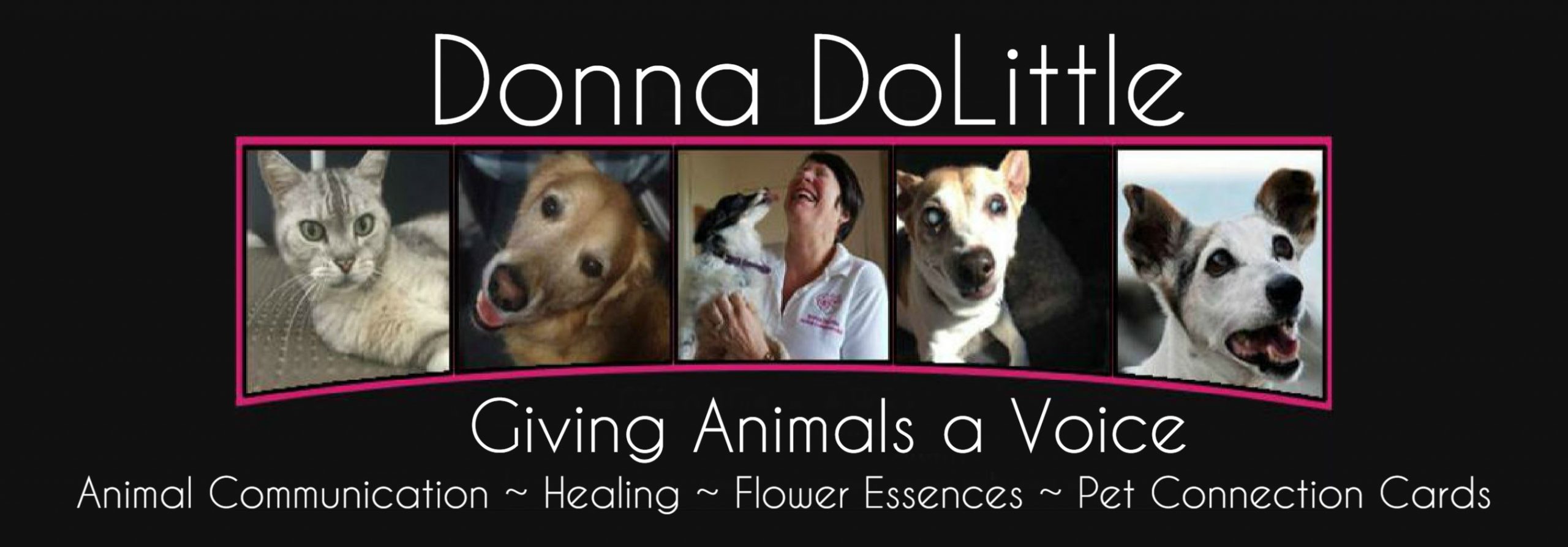 donna dolittle- animal communicator